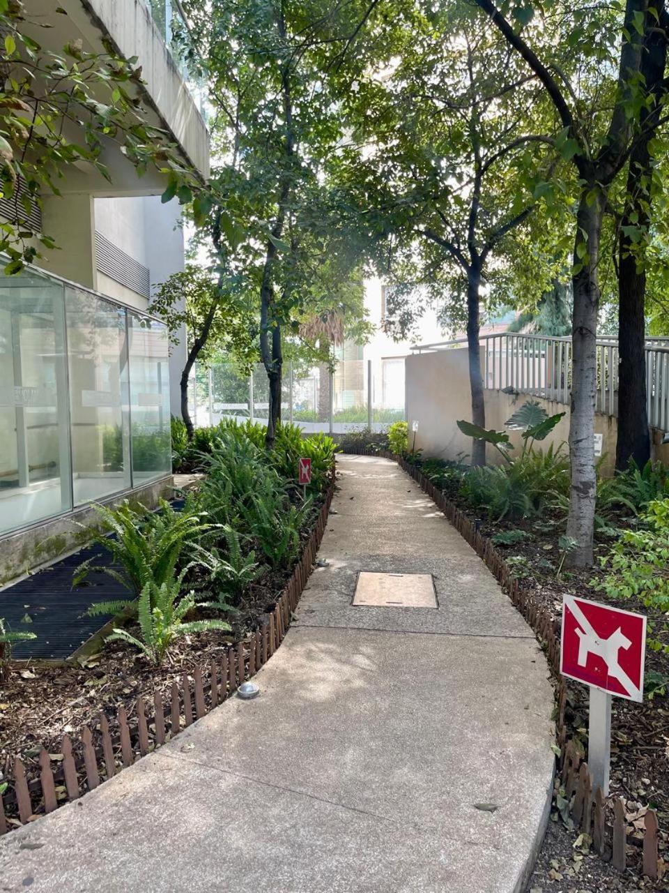 Luxury In Polanco Apartment