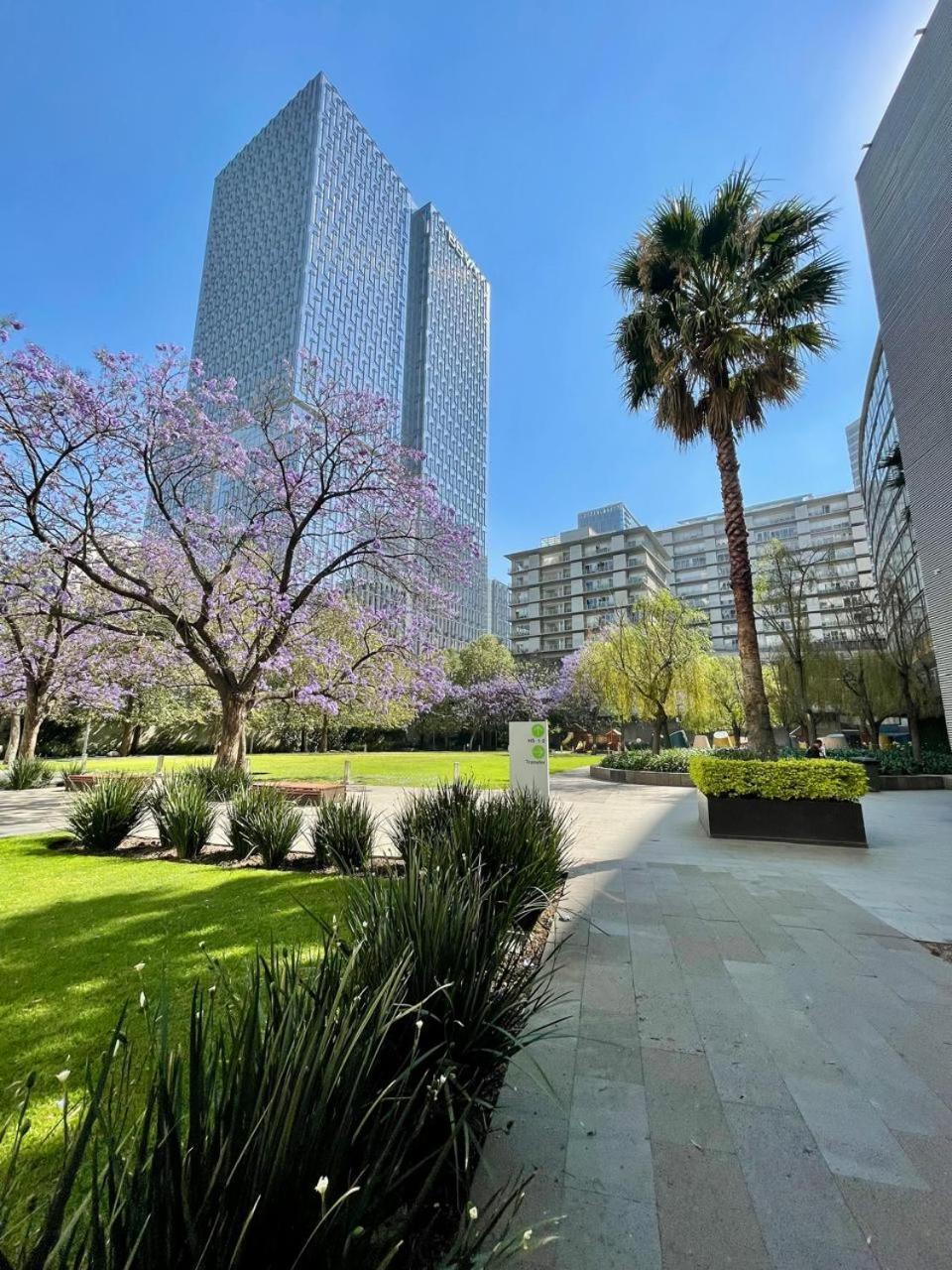 Luxury In Polanco *